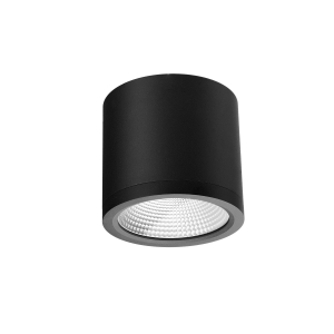 Azzardo Conyon AZ6029 plafon lampa sufitowa spot IP54 nowoczesny metalowy tuba 1x25W LED 3000-4000-6000K 1400 lm czarny