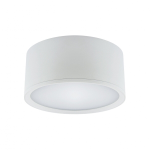 Struhm Rolen 03110  plafon okrągły tuba lampa sufitowa spot 15x7cm 1x15W LED 4100K biały - wysyłka w 24h